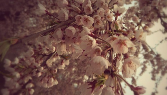 IMG_20150417_151007~2