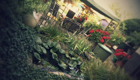 IMG_20150827_164949~2