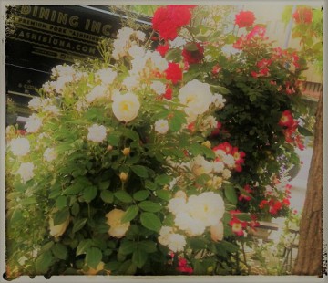 IMG_20170504_190736~2