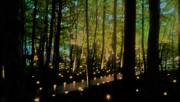 IMG_20170810_182123 (2)