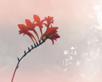 IMG_-f1gr4g (1)