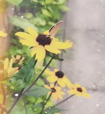 mtxx_album_take_photo_temp_mh1595771308798